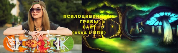 гидропоника Абинск