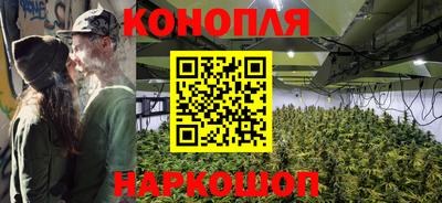 твердый Кингисепп