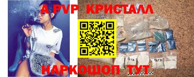 твердый Кингисепп
