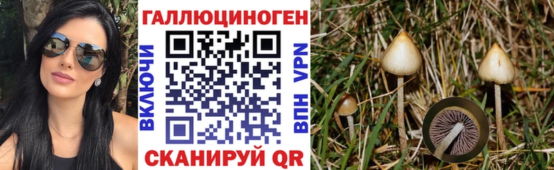 Псилоцибиновые грибы Cubensis цена Раменское
